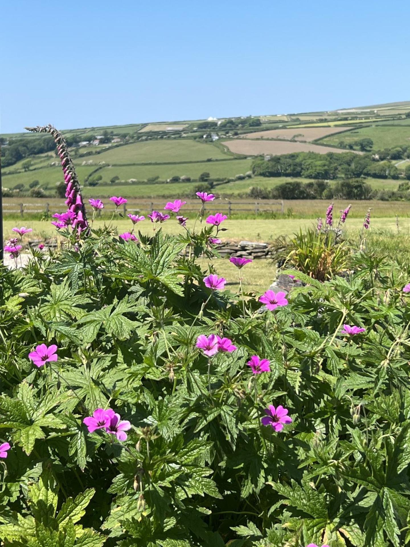 Courtyard Farm Cottages Boscastle Eksteriør billede