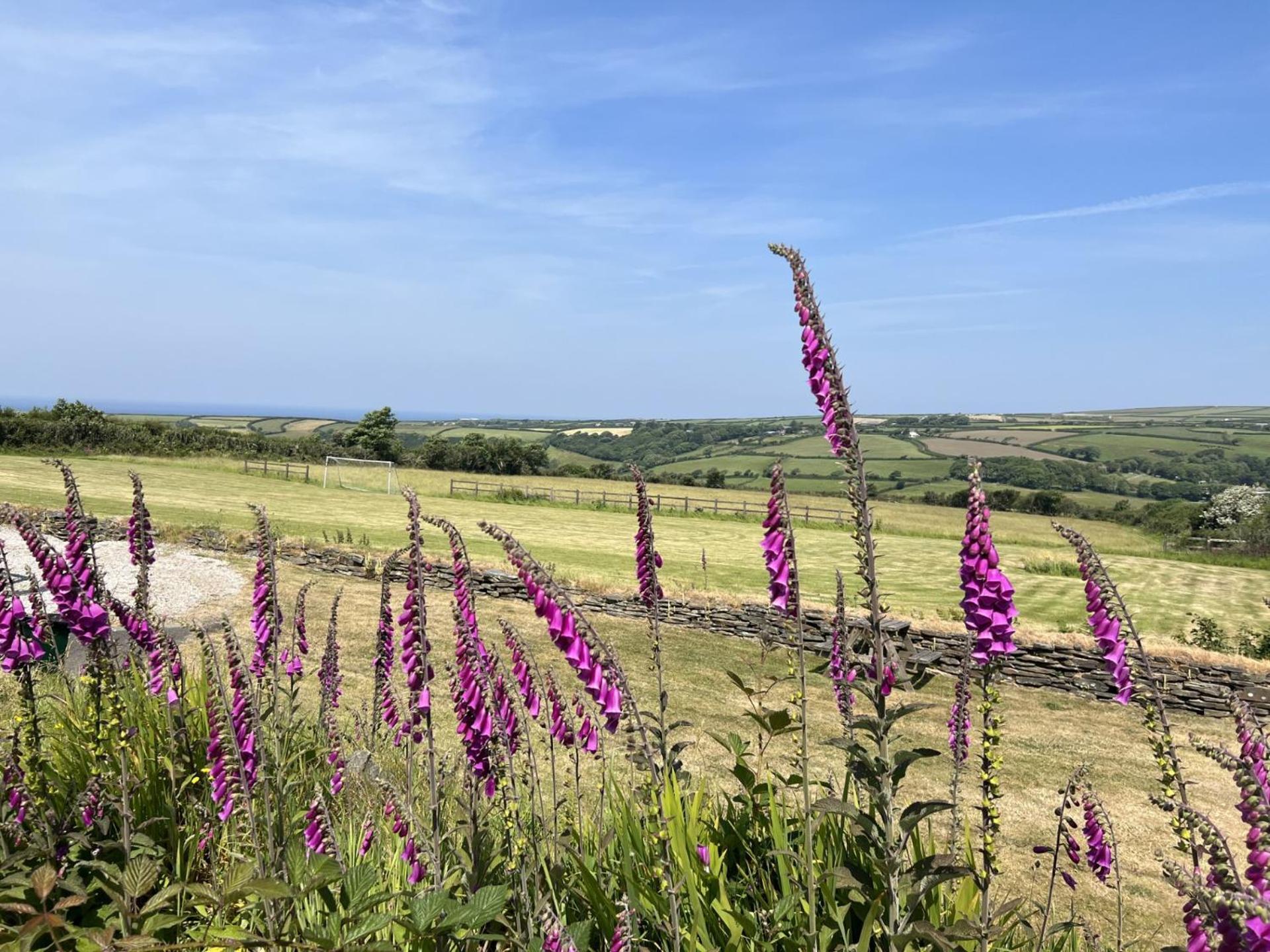 Courtyard Farm Cottages Boscastle Eksteriør billede