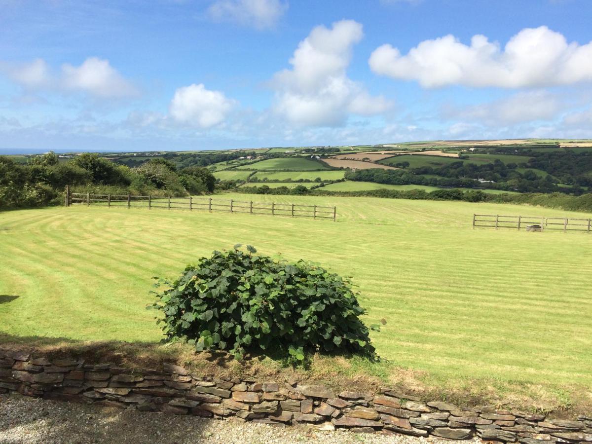Courtyard Farm Cottages Boscastle Eksteriør billede