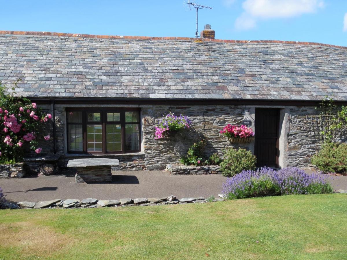 Courtyard Farm Cottages Boscastle Eksteriør billede